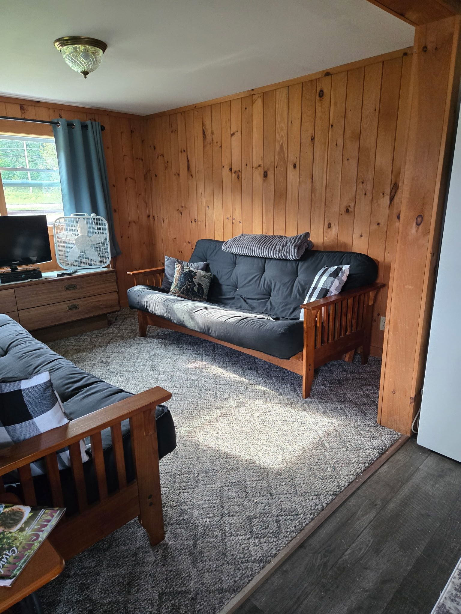Small living room with wood-paneled walls, gray sofa, matching chair, shag rug, and a window by the TV.