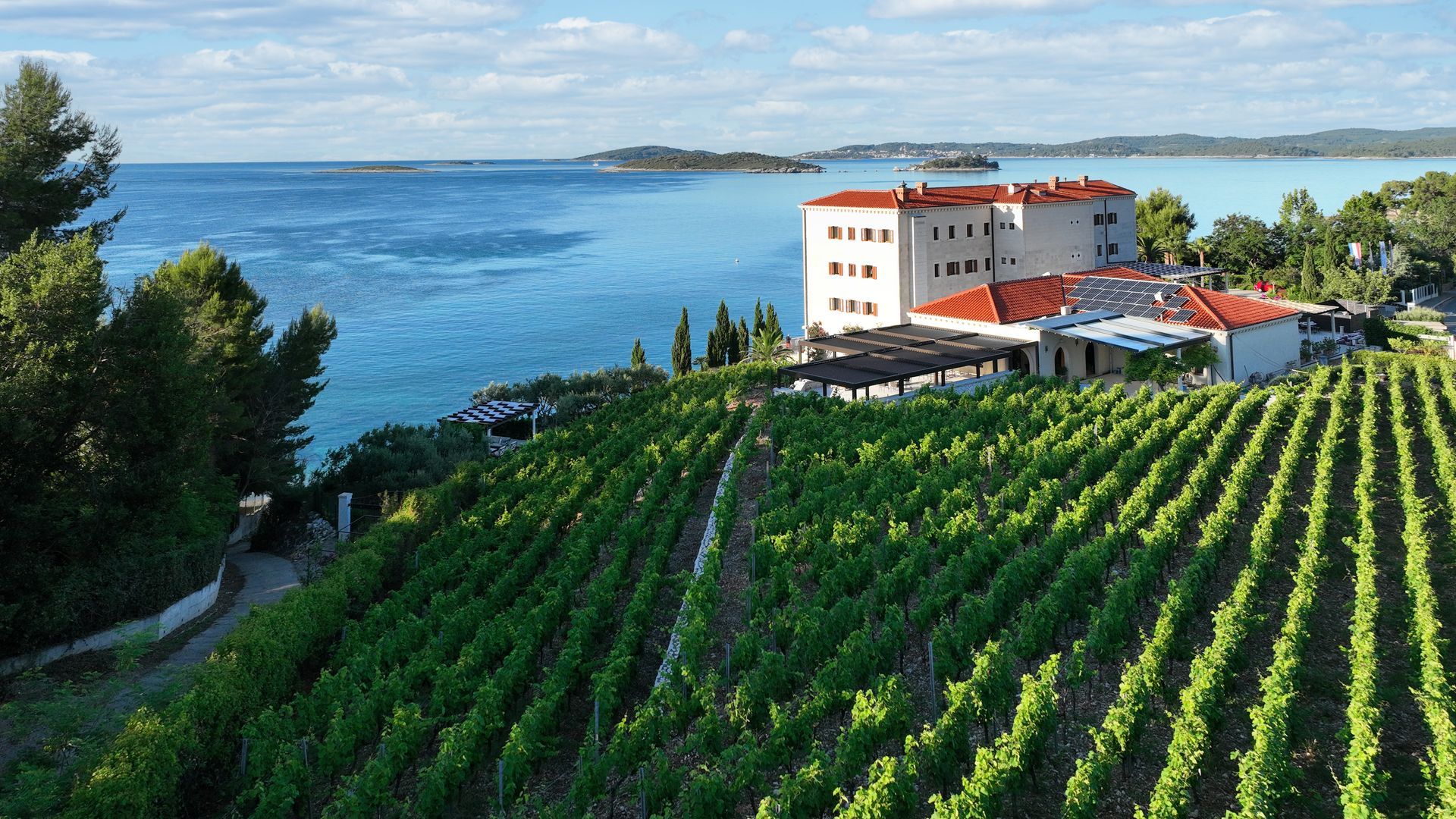 KORTA KATARINA WINERY 12