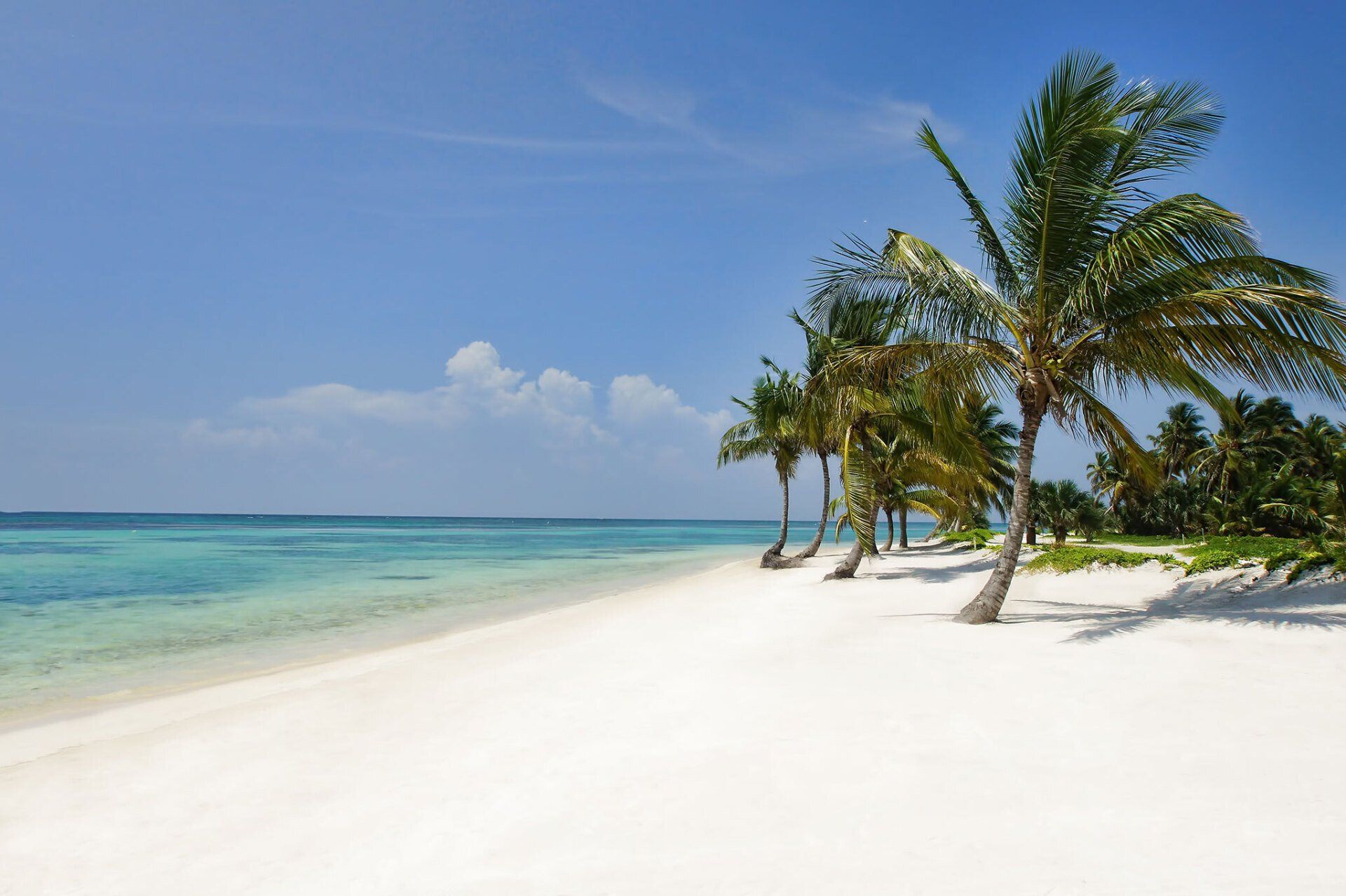TORTUGA BAY 1