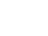The Brando Logo