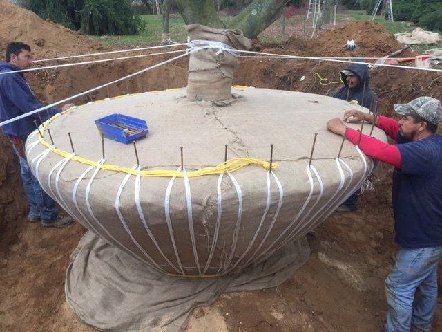 fountain