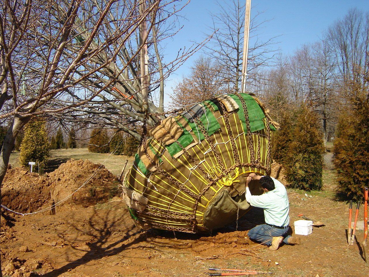 landscaping