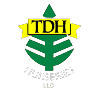 TDH Nurseries, LLC logo