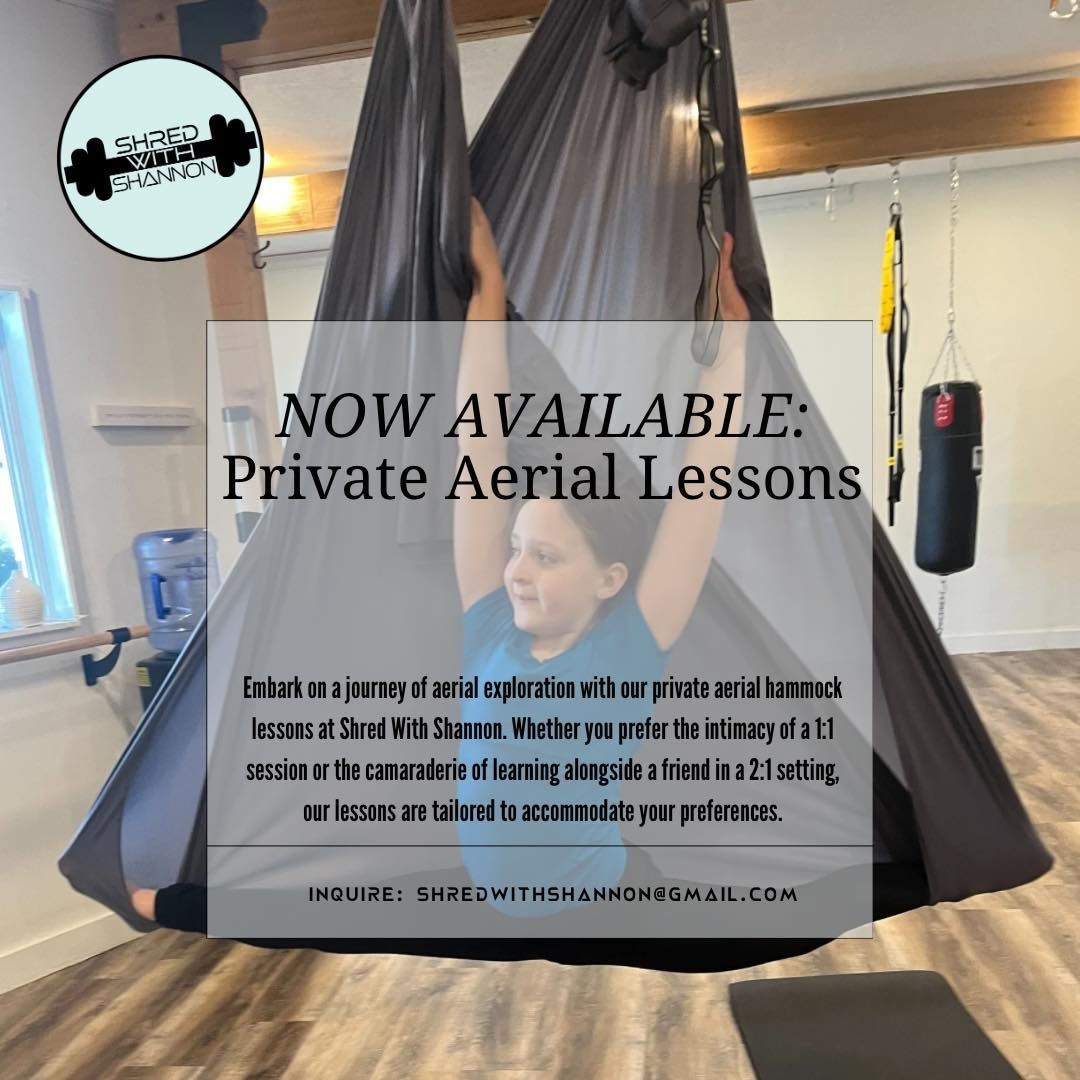 private aerial lessons