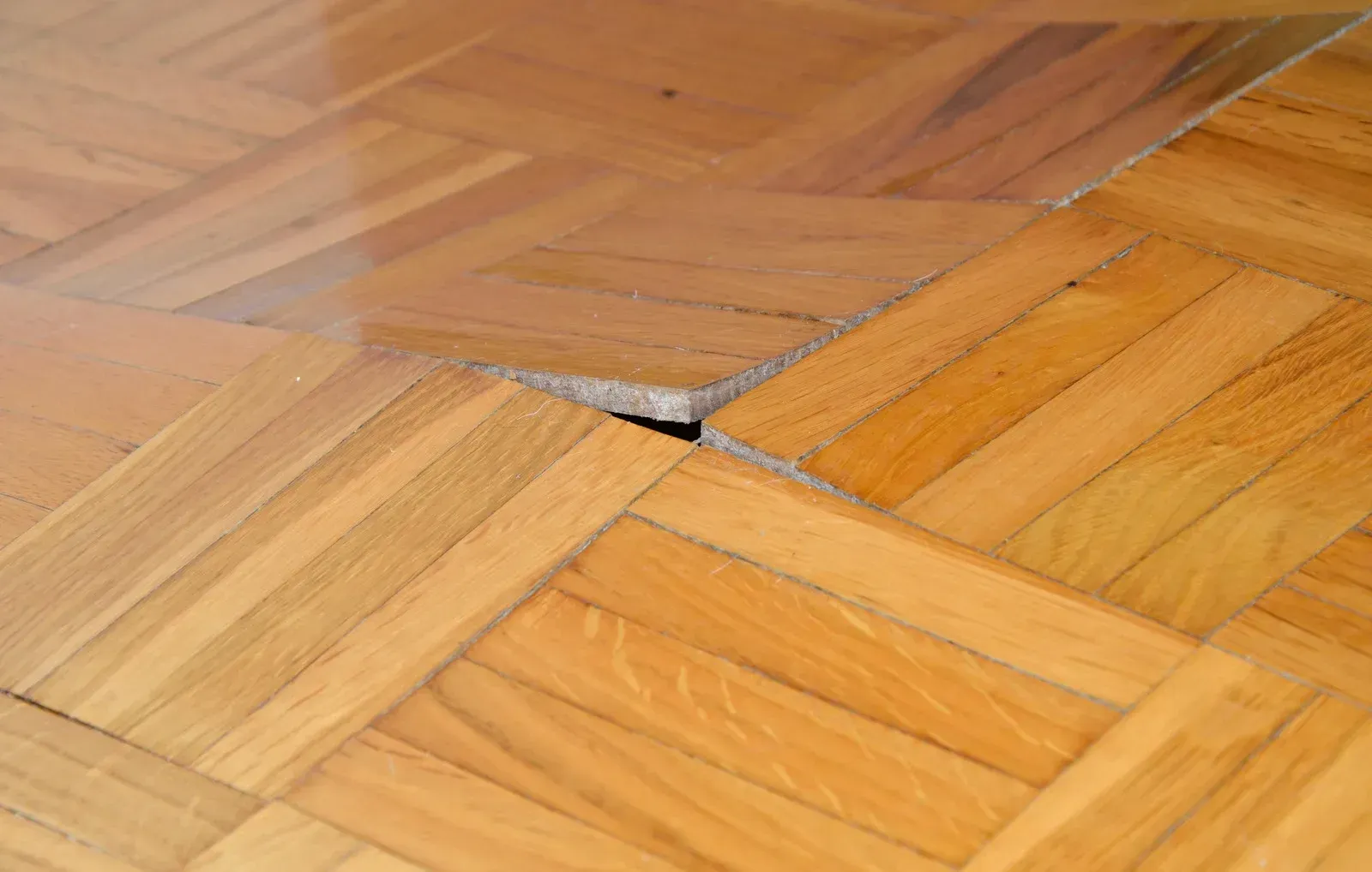 Muddy, debris-covered indoor floor near a doorway and wall, with a person’s leg visible on the left.