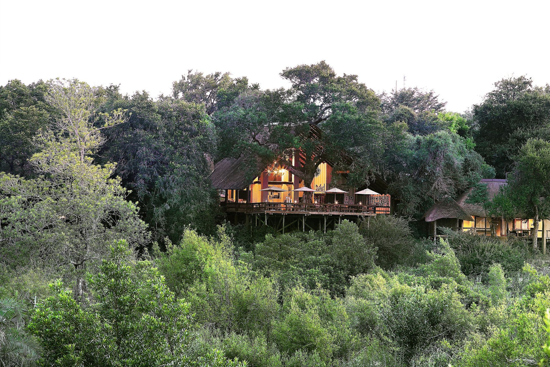 Sustainable Safari Holidays: How to Plan a High-End Trip