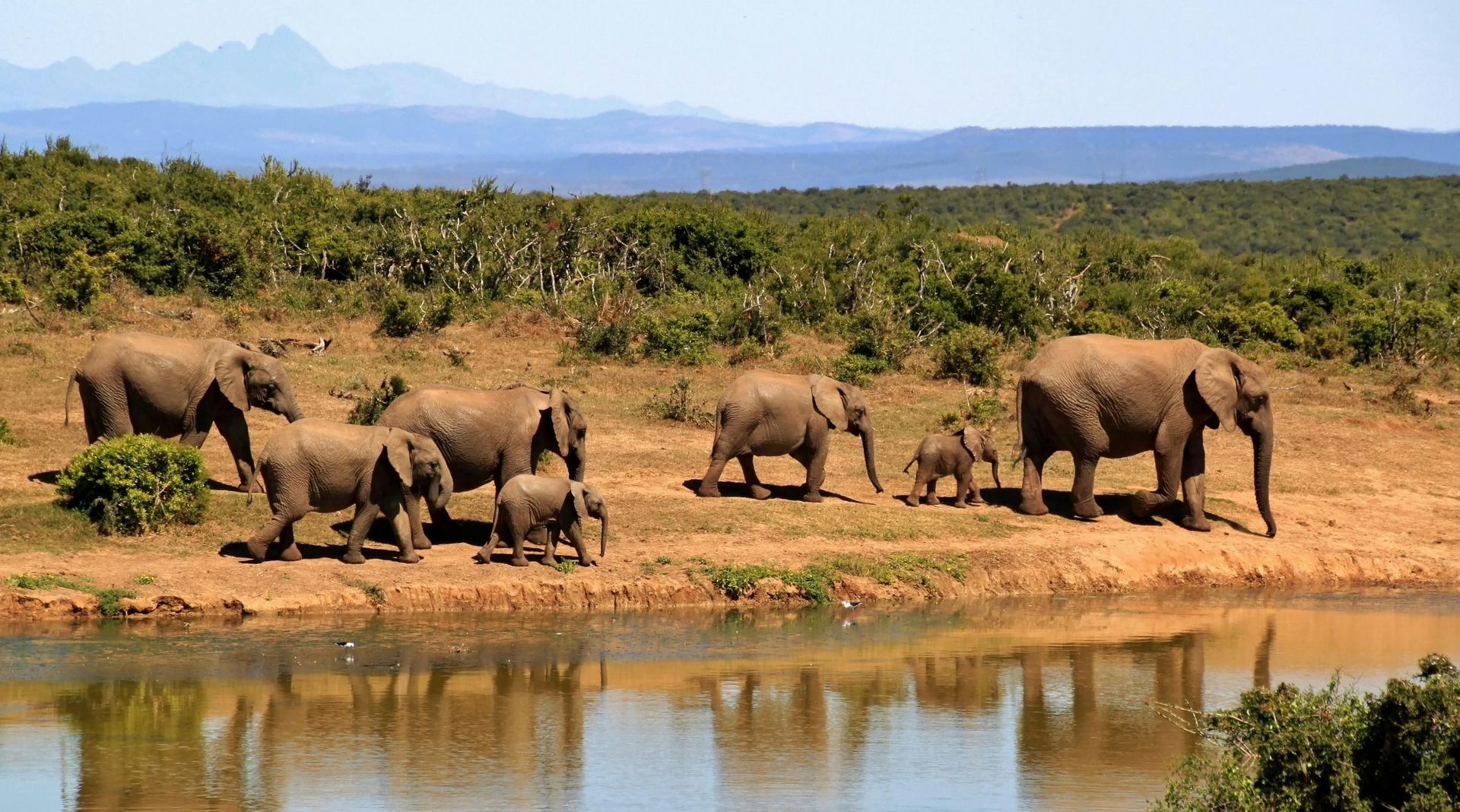 South Africa: Effortless, Ethical Luxury Safari Holidays