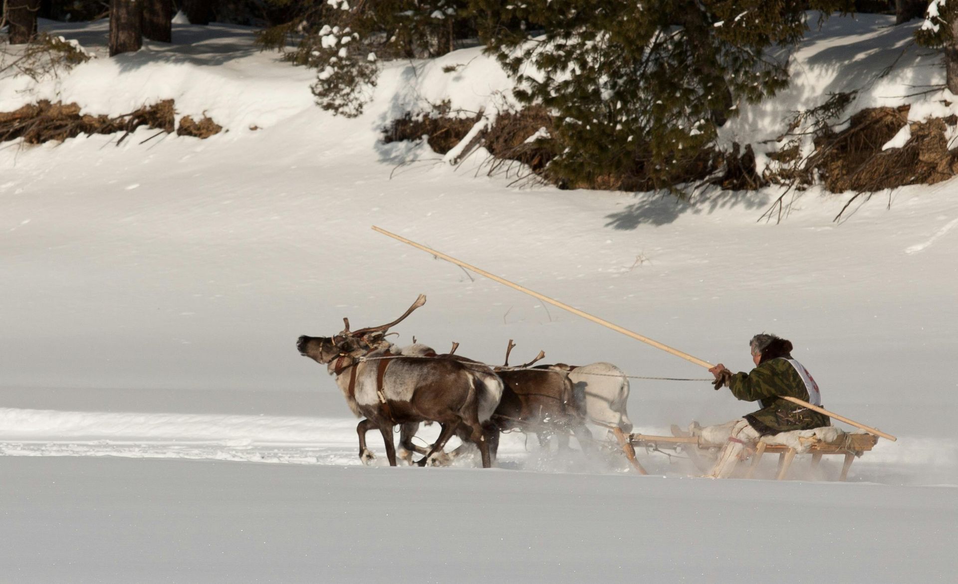 Alta, Norway — Finnmark’s wild canvas (quieter, longer trails)