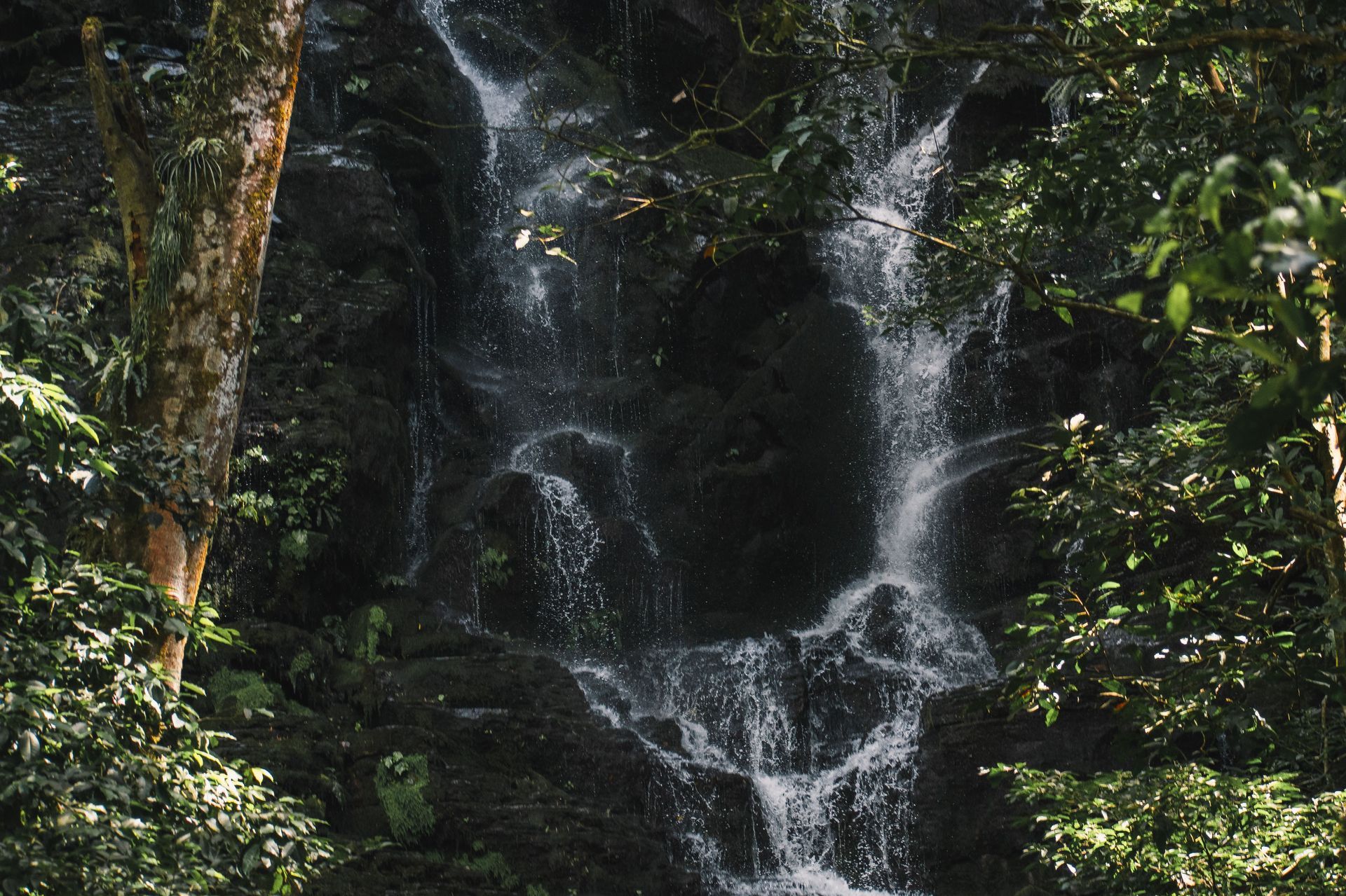 Costa Rica: Rainforest, Volcanoes and Wildlife