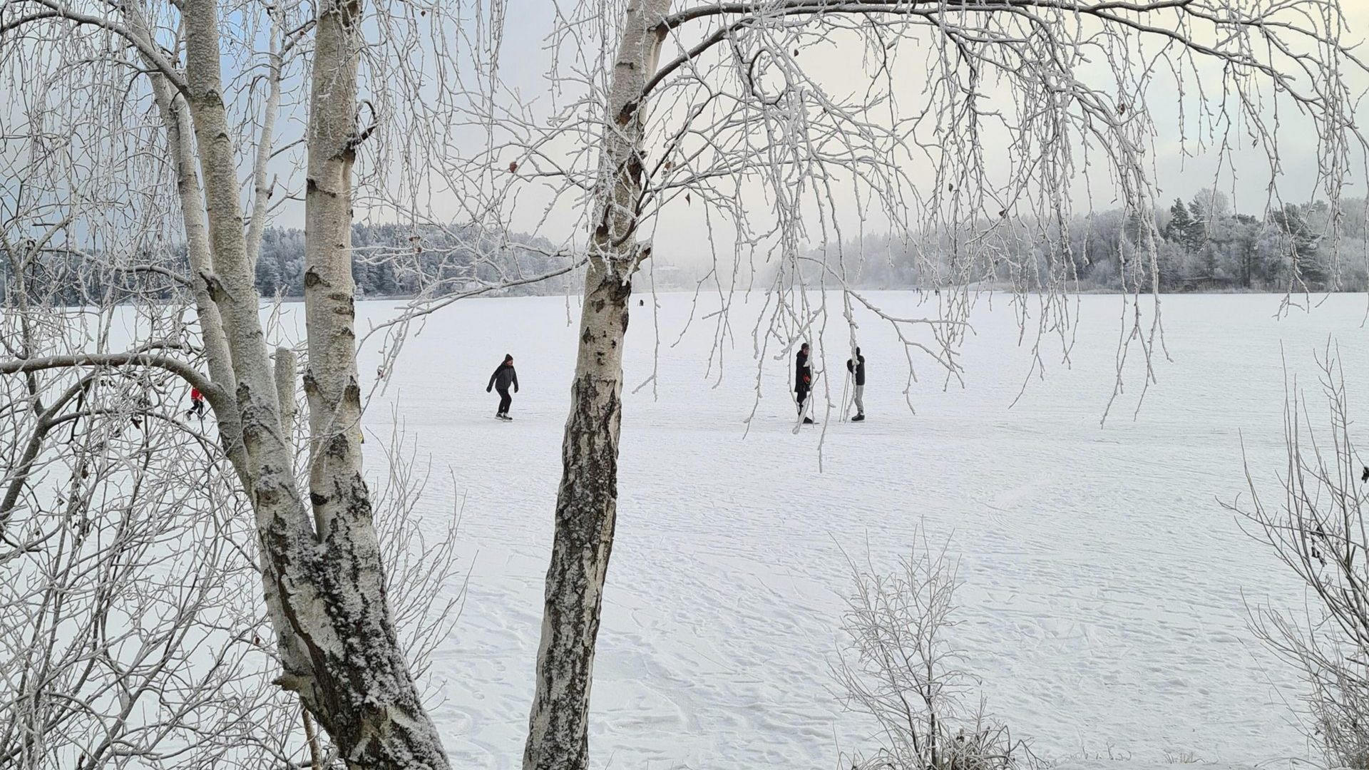 Swedish Lake Country – Sweden