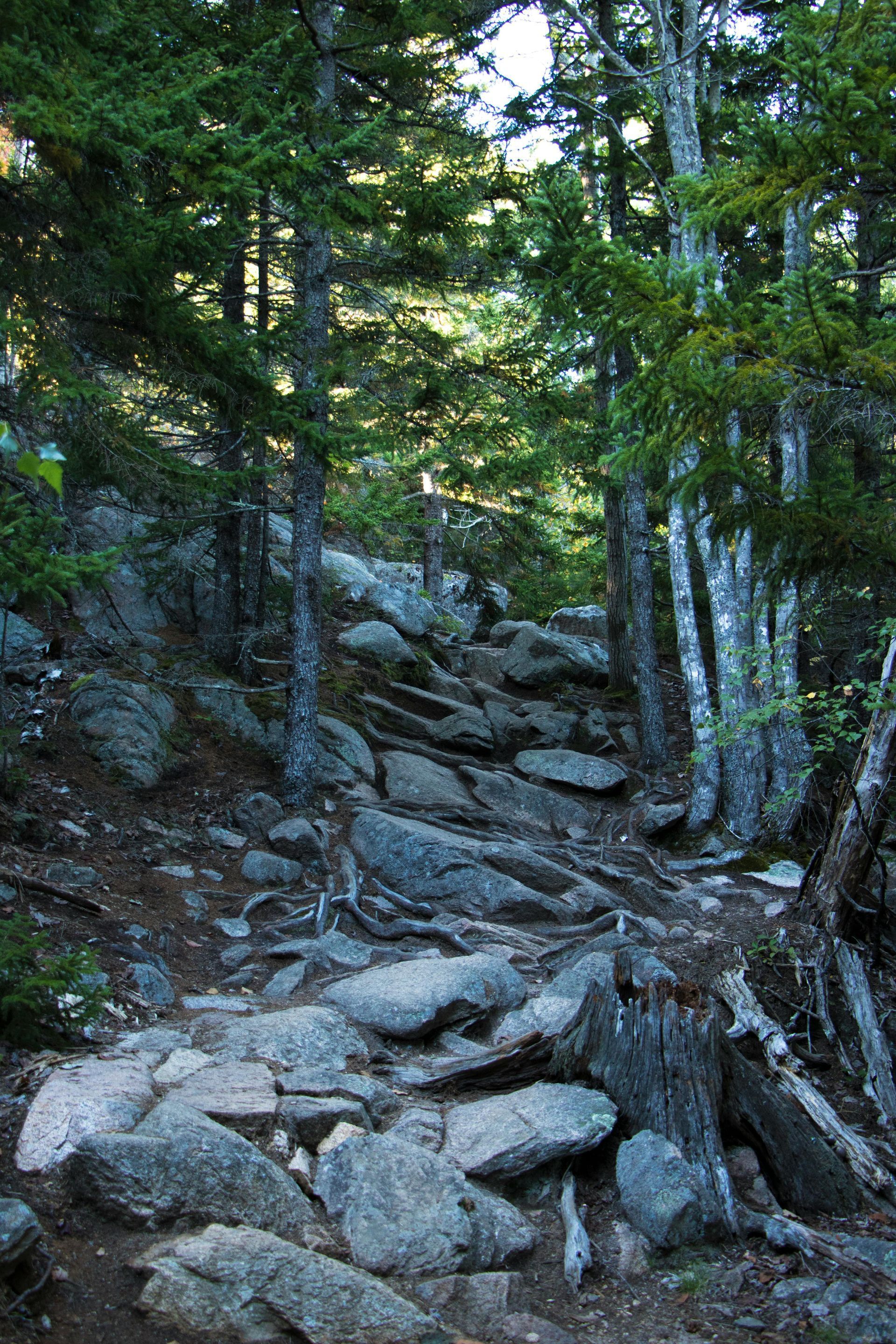 Acadia National Park, Maine - Hiking with Jamie Wake Travel
