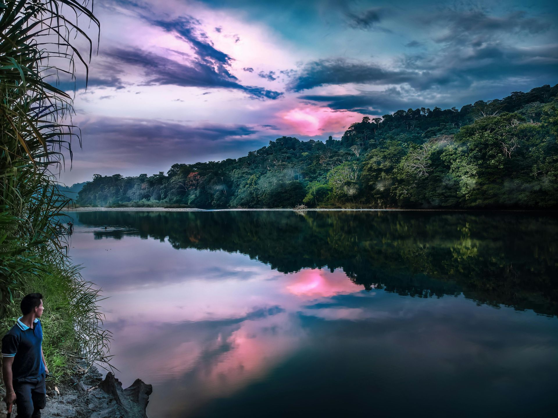 Ecuador Amazon Holidays: Best for Wildlife-Rich Lodges and Galápagos Combinations