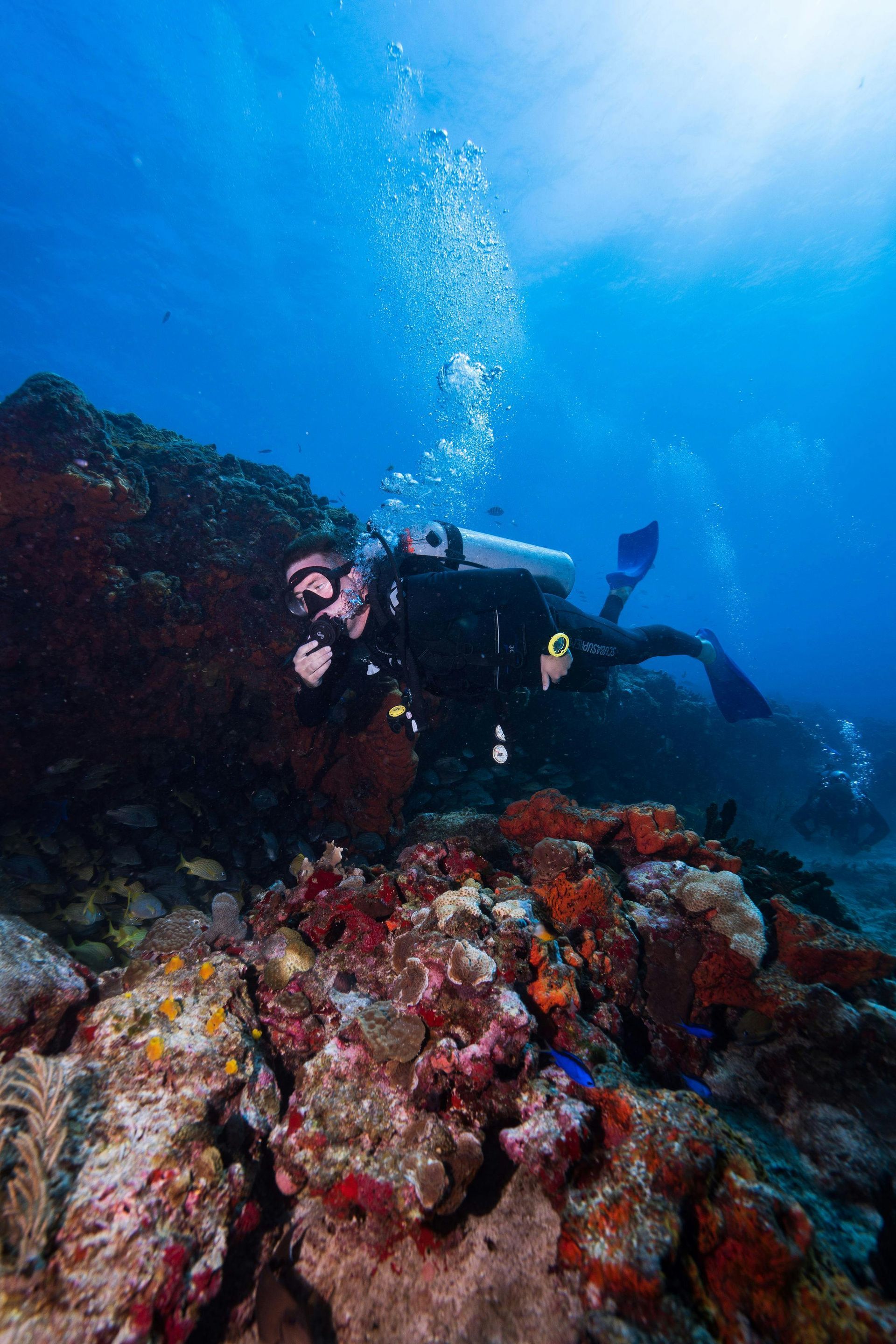 Scuba Diving in the Philippines with Jamie Wake Travel