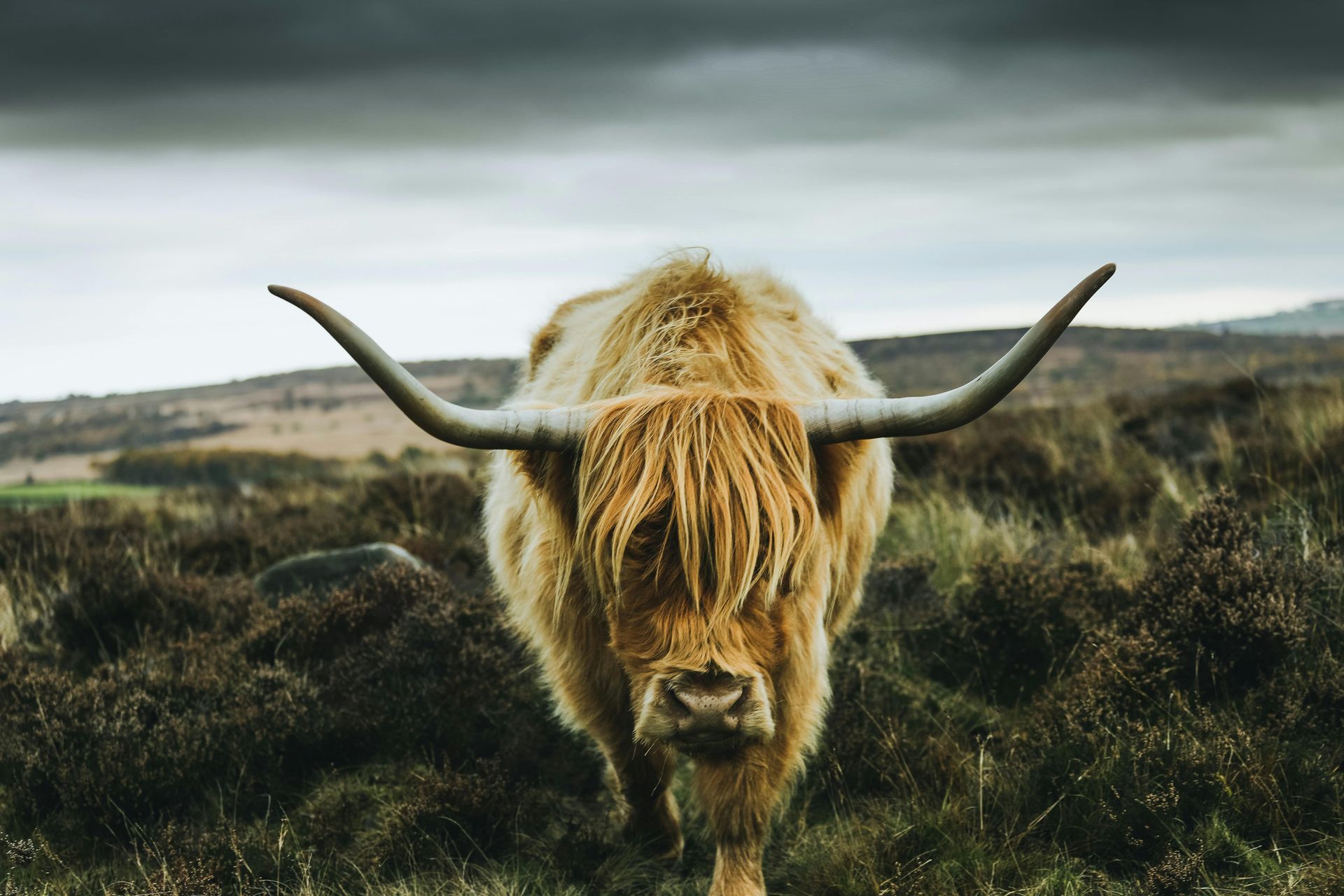 Scotland — Highlands Hideaways