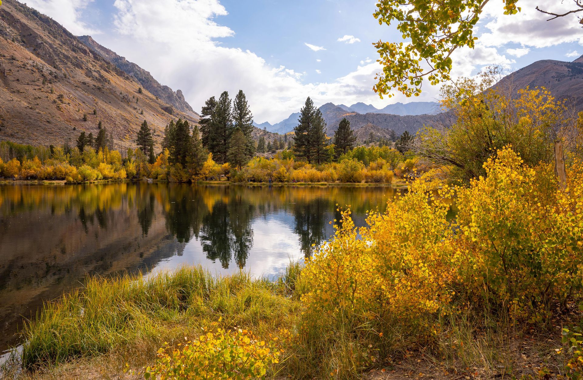Bishop, California