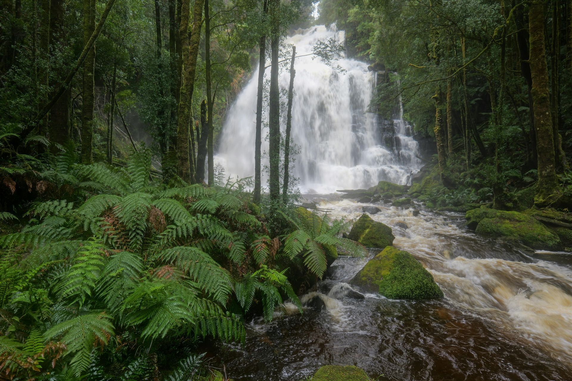 Tasmania — Emerging Cool-Climate Luxury