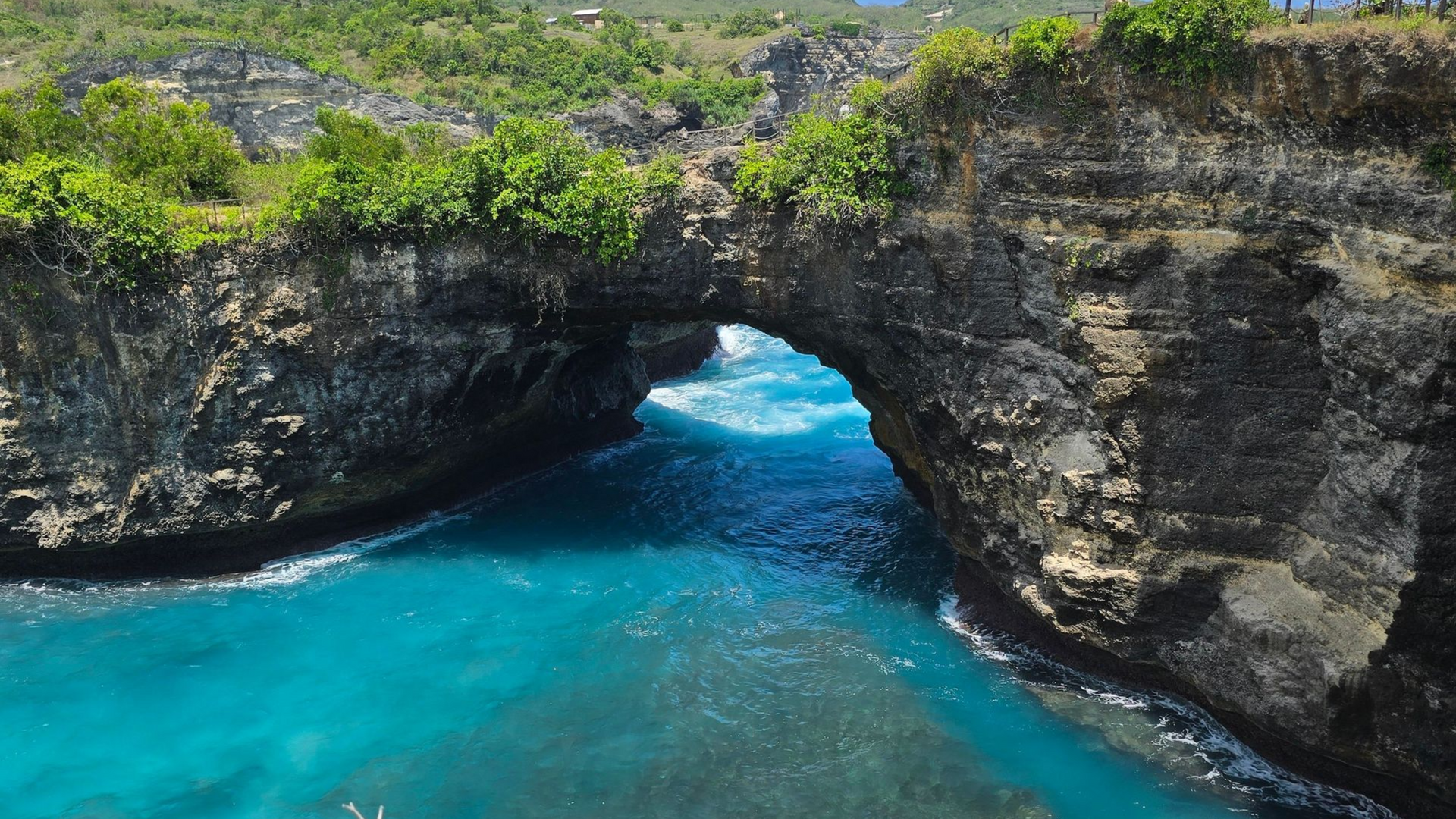 Best for Coral Biodiversity: Indonesia and the Philippines