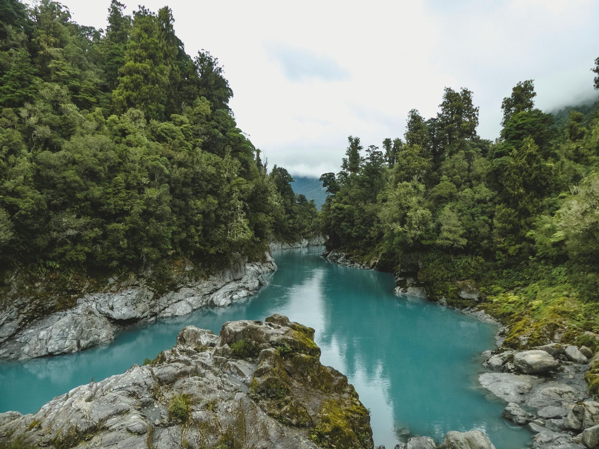 New Zealand – Scenic Walks and Welcoming Stays