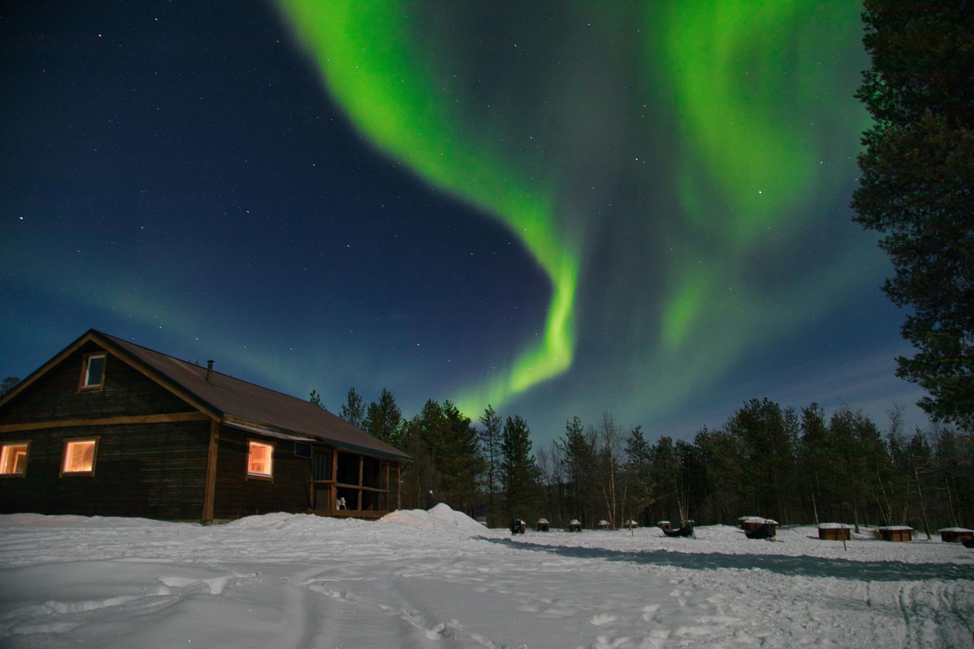 Swedish Lapland – Wild & Remote