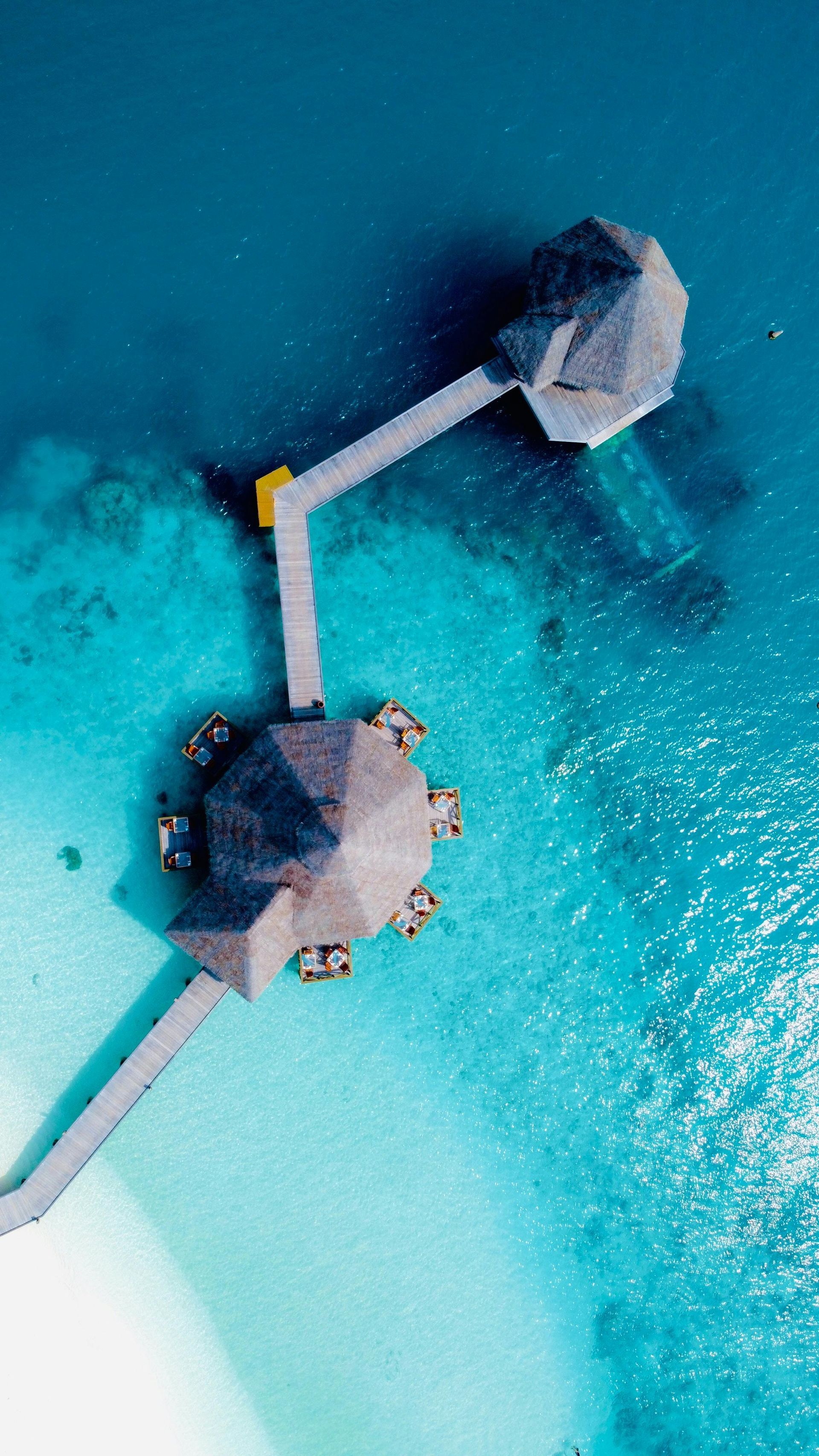 Scuba Diving in The Maldives with Jamie Wake Travel
