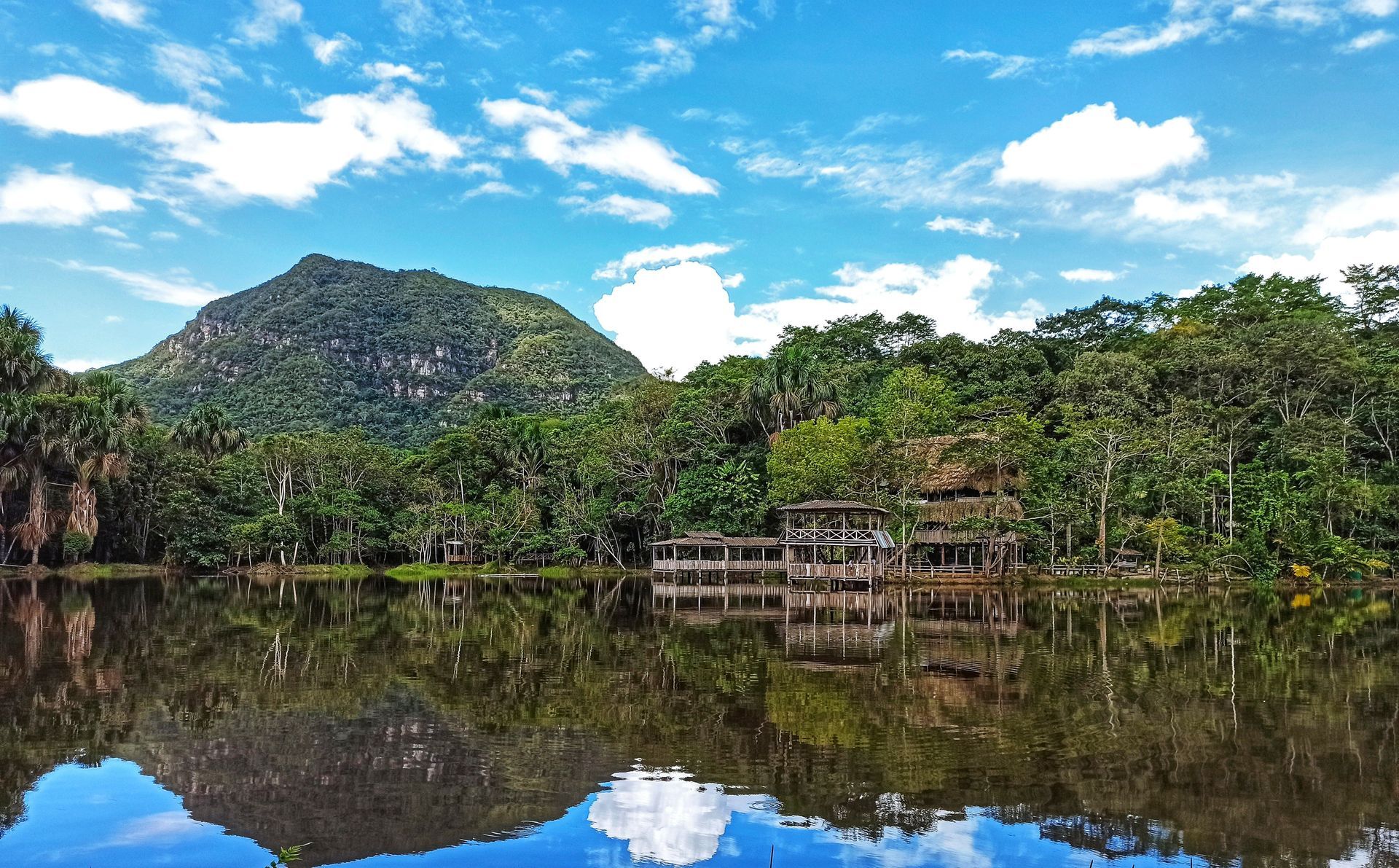 Amazon Lodge or River Cruise: Which Amazon River Cruise Holiday Is Right for You?