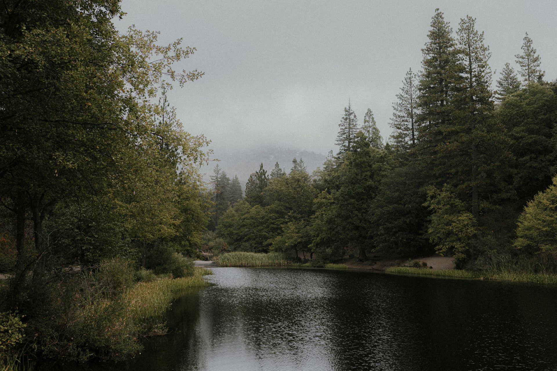 Idyllwild, California