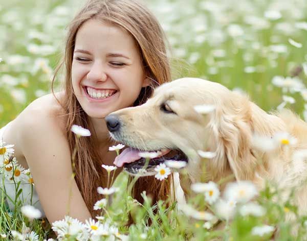 Woman smiling beside a golden retriever in a field of white flowers