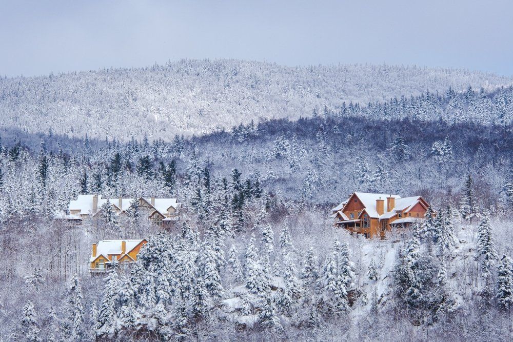 A snowy forest with houses in the foreground and mountains in the background.