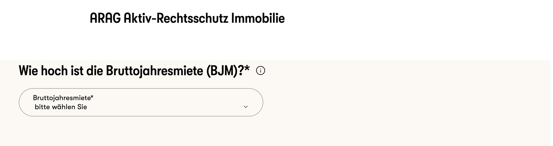 Geben Sie an, wie hoch die Bruttojahresmieteinnahmen sind