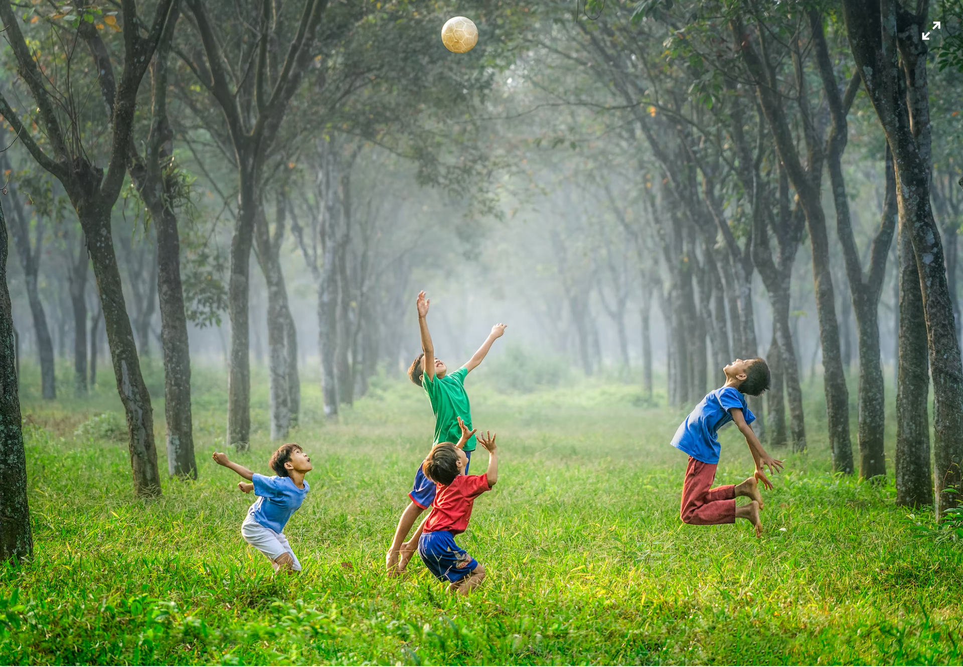 A group of children are playing with a ball in a forest.