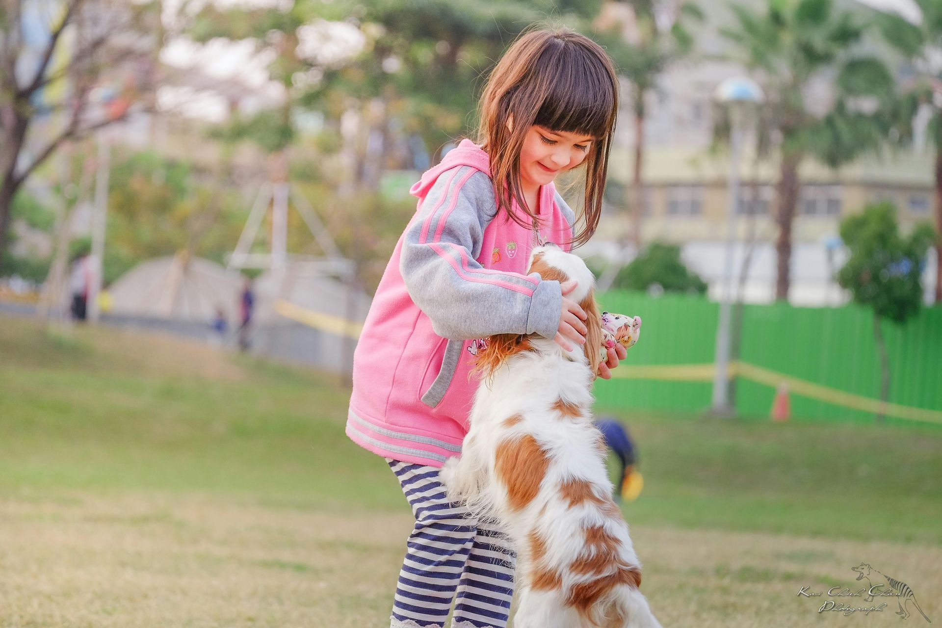 A little girl is petting a dog in a park.