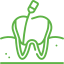 A green line drawing of a tooth with a toothbrush sticking out of it.