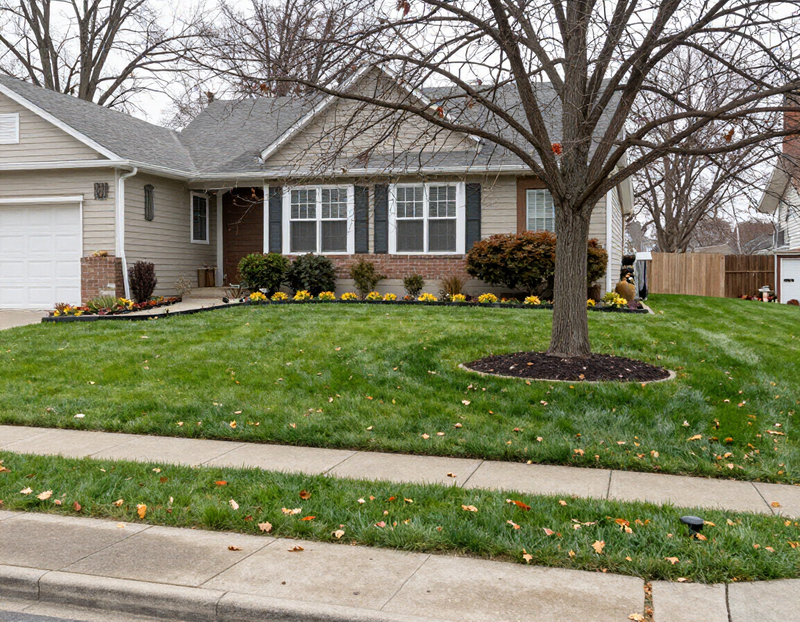 Step 4: the finished, clean lawn