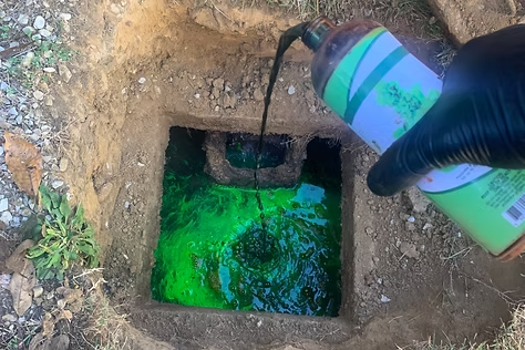 A person is pouring green liquid into a hole in the ground