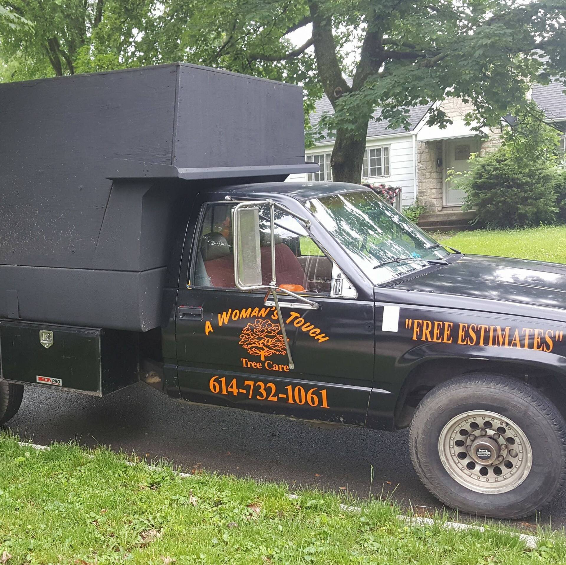 Black Car — Columbus, OH — A Woman’s Touch Tree Care