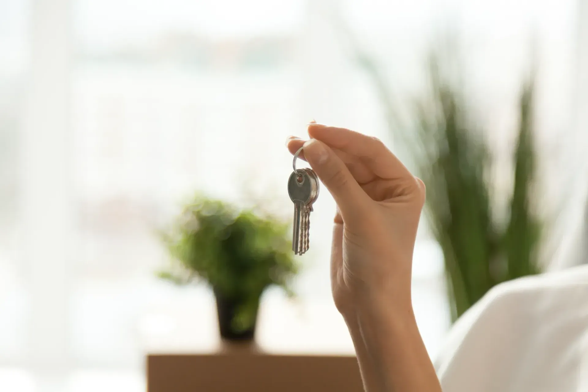 Hand Holding A Key In Front Of A Bright Window With Blurred Plants In The Background  — Brightside Buyers Agency in Rouse Hills, NSW