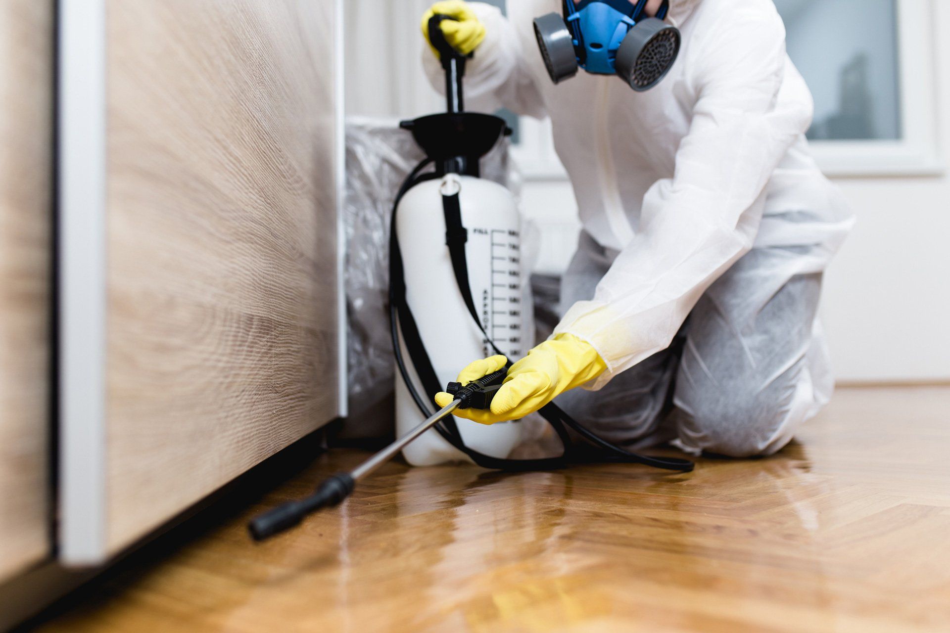 Professional pest control