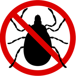Flea Pest Control Flea Pest Control