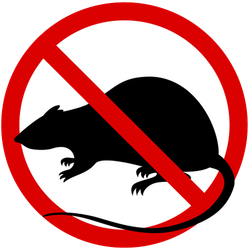 Flea Pest Control Flea Pest Control