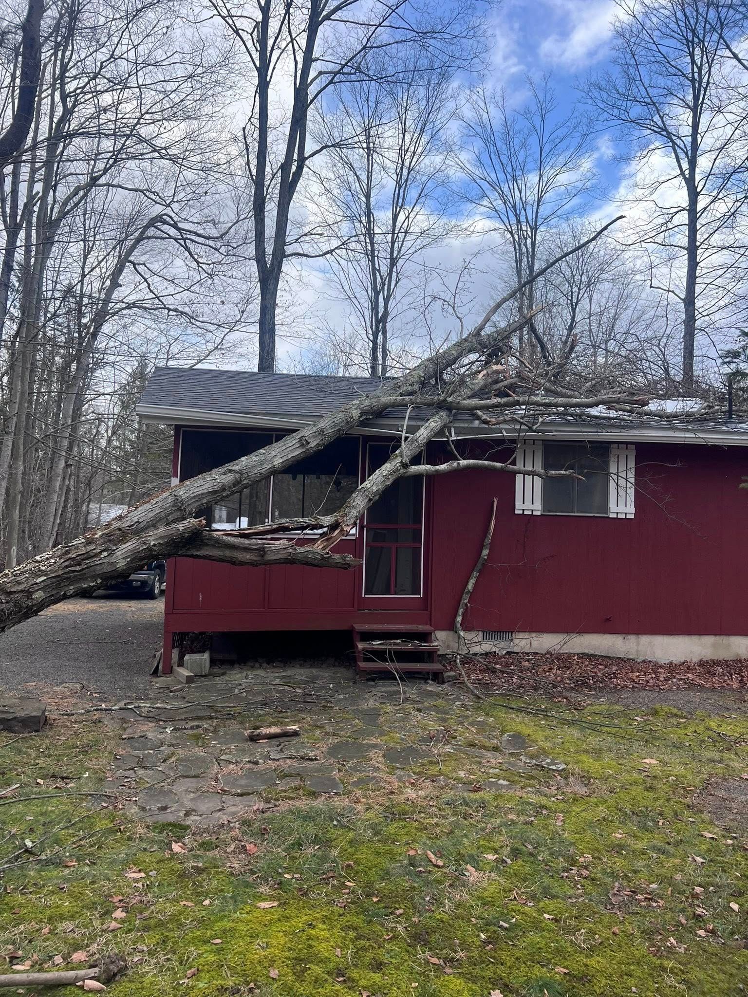 Red house with a large fallen tree leaning across the roof in a wooded yard.