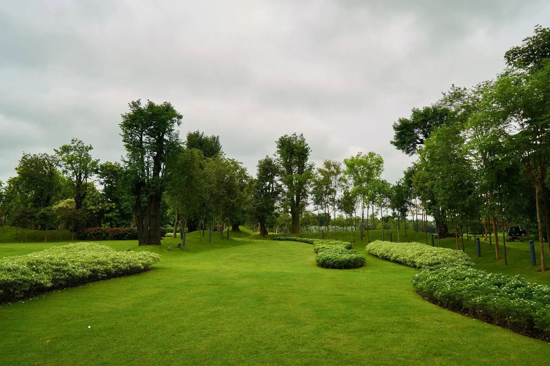 A lush green park with trees and bushes on a cloudy day