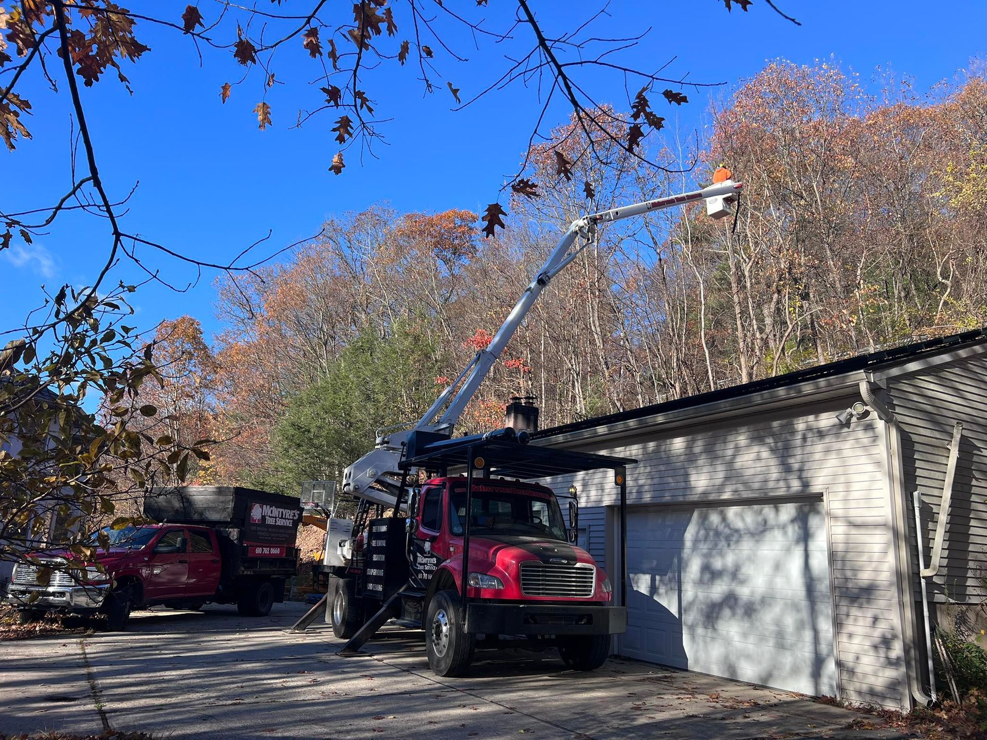 Red bucket truck trimming tree branches near a white building on a sunny day.