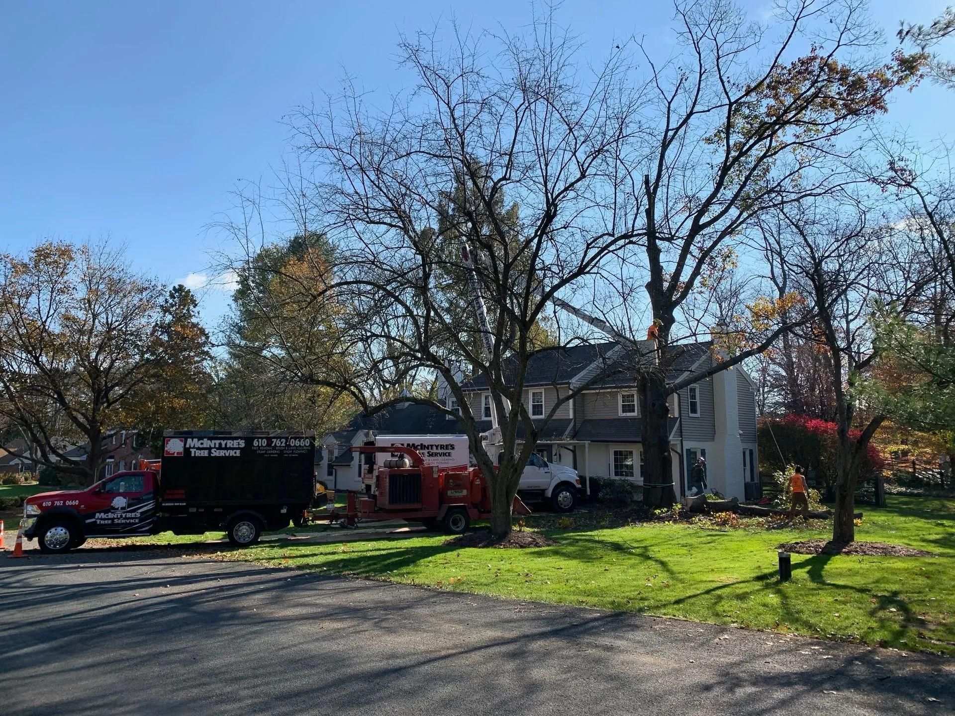 Tree removal service with trucks and equipment near a house on a sunny day.