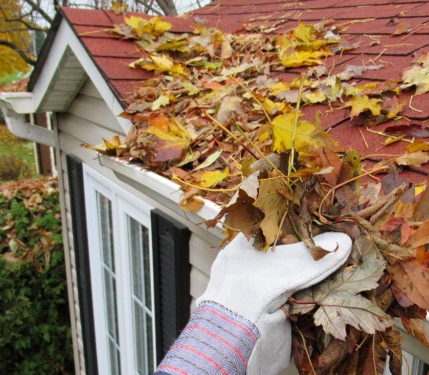 A person is cleaning a gutter with leaves on it