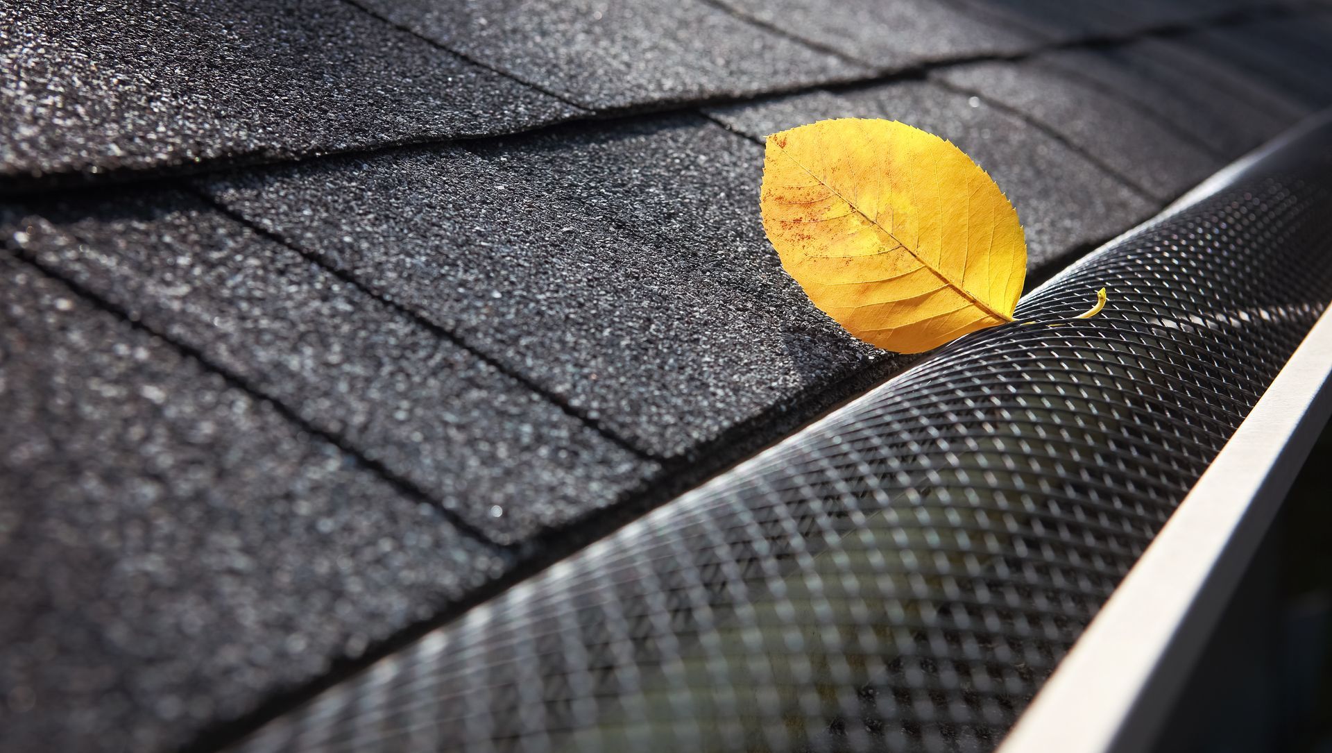 A yellow leaf is sitting on top of a gutter on a roof.