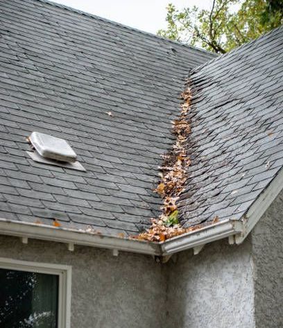 A roof with leaves coming out of it and a window.