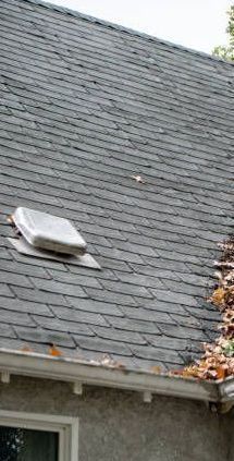 A roof with leaves coming out of it and a window.