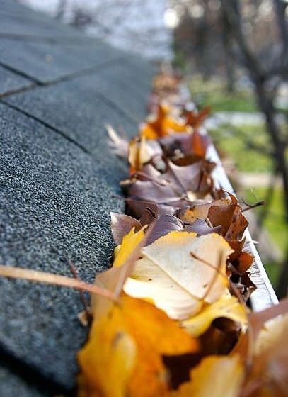 A close up of a gutter filled with leaves on a roof.
