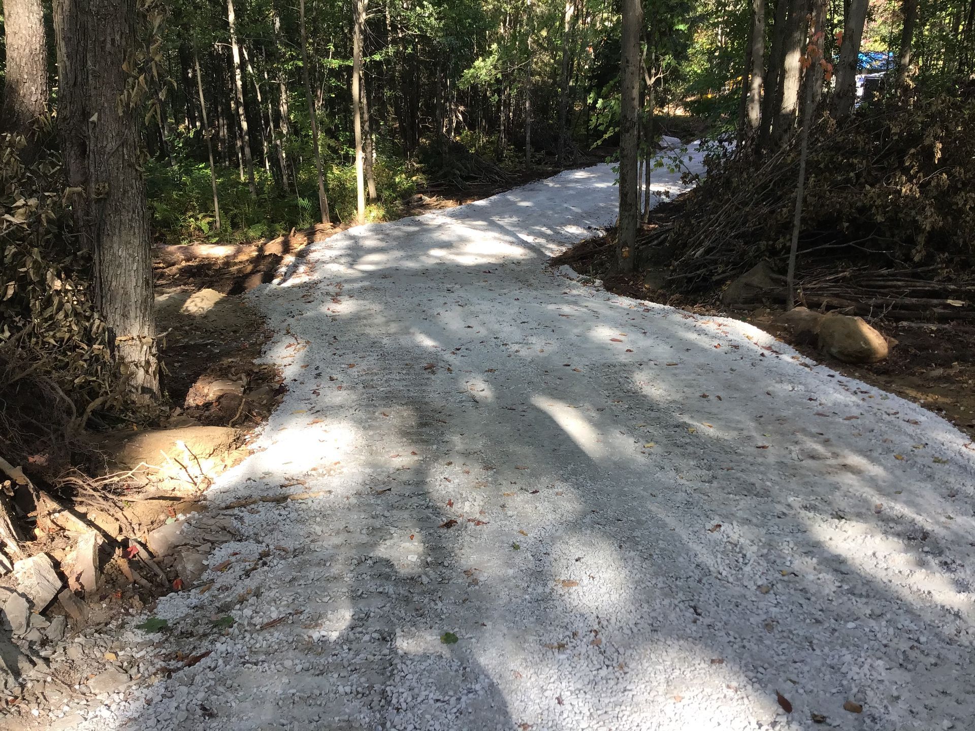Un chemin de terre dans les bois avec de la neige au sol