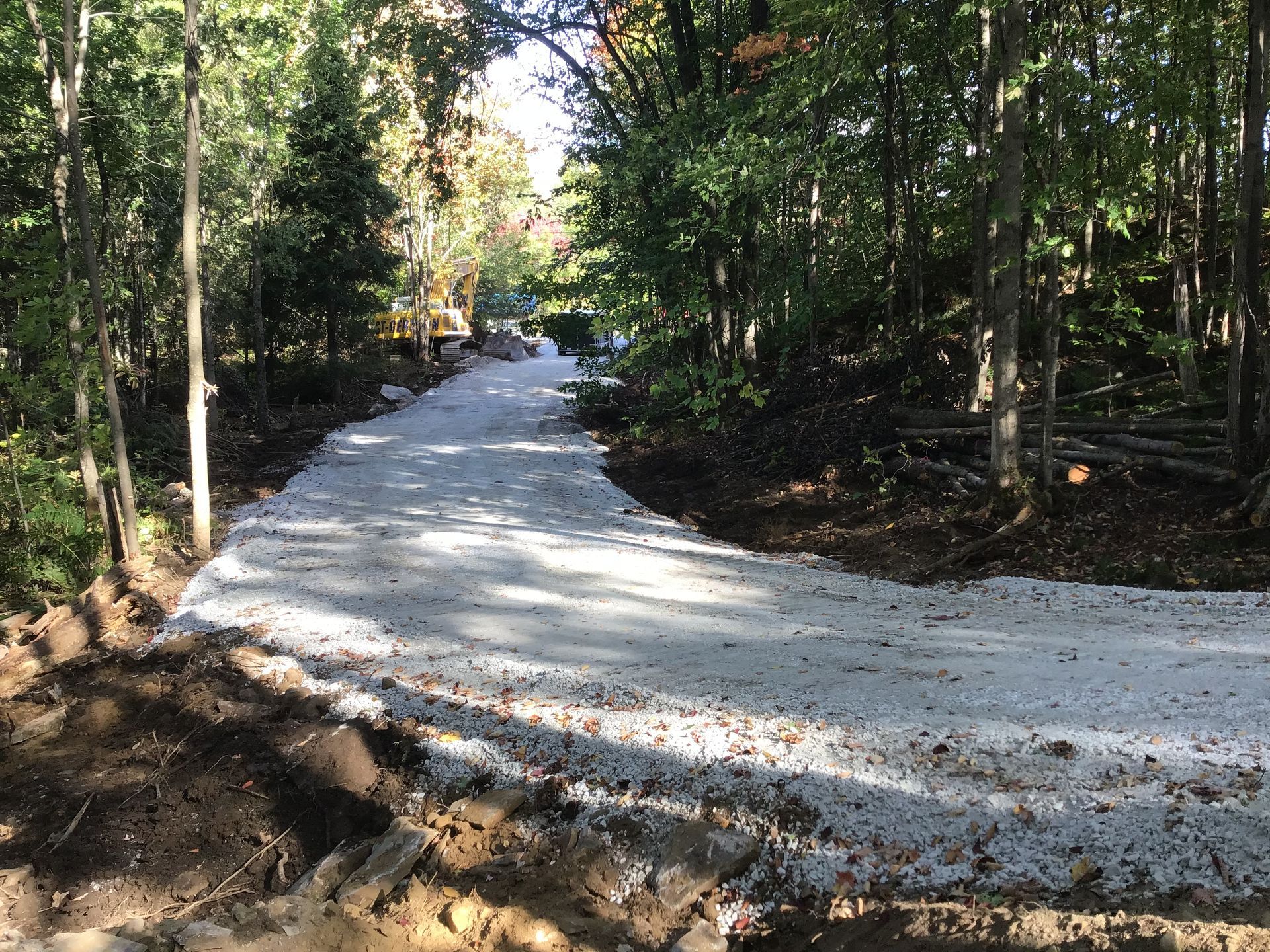 Un chemin de terre au milieu d'une forêt.